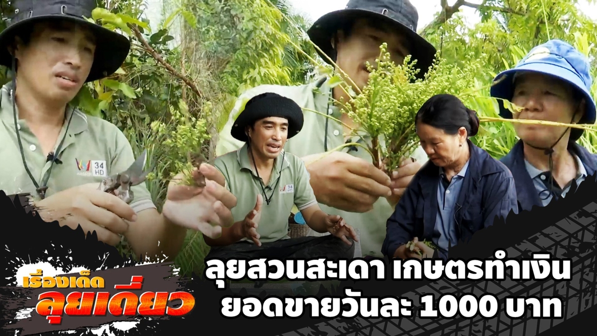 เรื่องเด็ดลุยเดี่ยว | ลุยสวนสะเดา เกษตรทำเงิน ยอดขายวันละ 1000 บาท