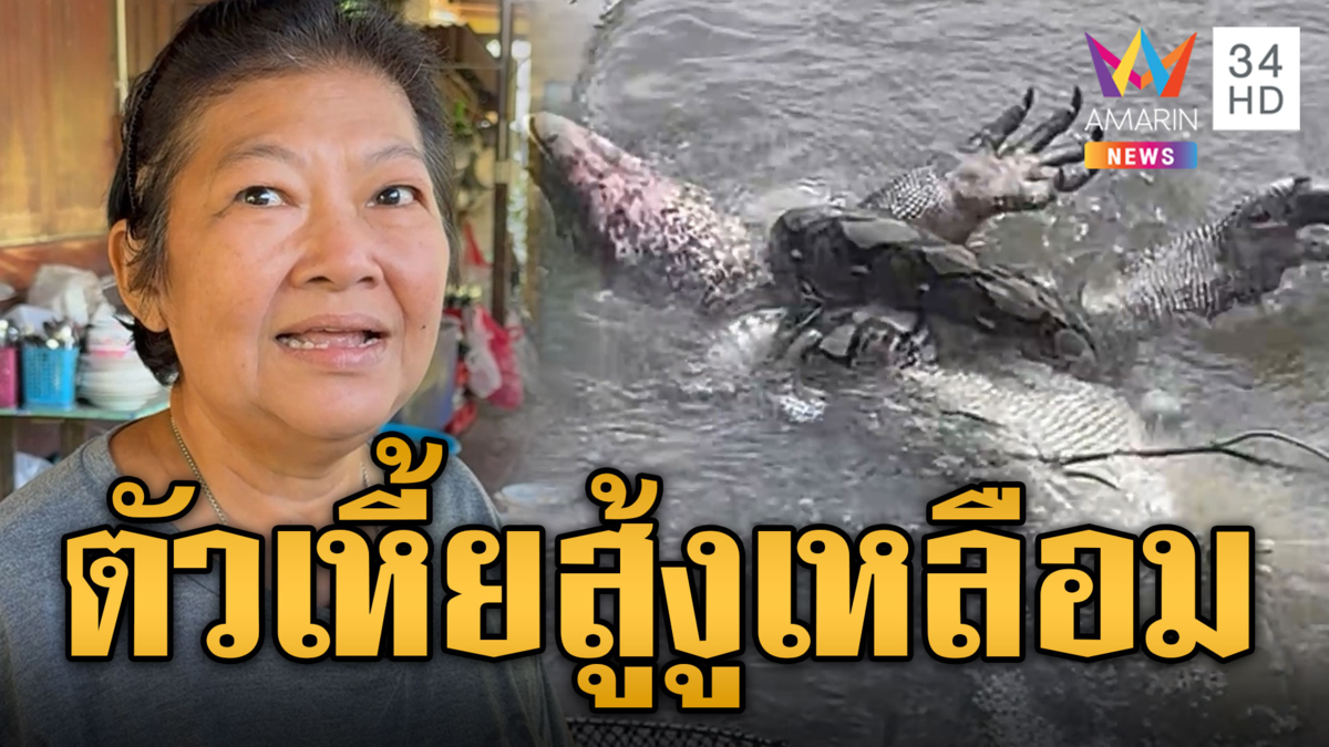 ศึกข้ามสายพันธุ์! ตัวเหี้ยปะทะงูเหลือม กอดรัดฟัดเหวี่ยงในคลอง