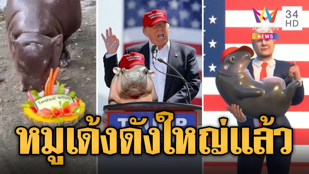 หมูเด้ง ดังทั่วโลก แม่นเวอร์ทำนาย ทรัมป์ ผงาดปธน.สหรัฐฯ