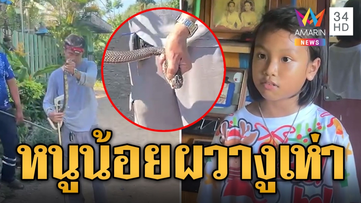 หนูน้อยผวา! รื้อกระเป๋าเจองูเห่ากินอึ่งอ่างแผ่แม่เบี้ยขู่