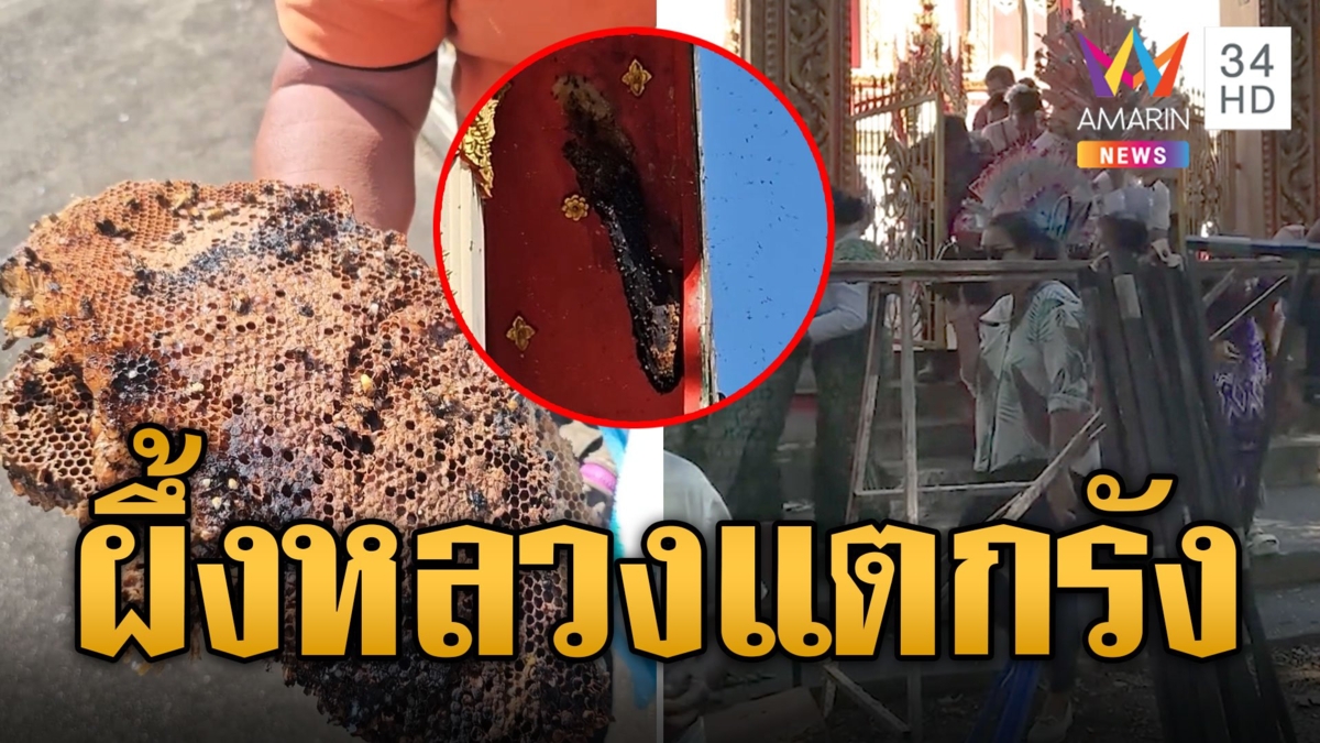 ผึ้งหลวงตื่นเสียงดัง แตกรังไล่ต่อยขบวนกฐิน หนีตายอลหม่าน