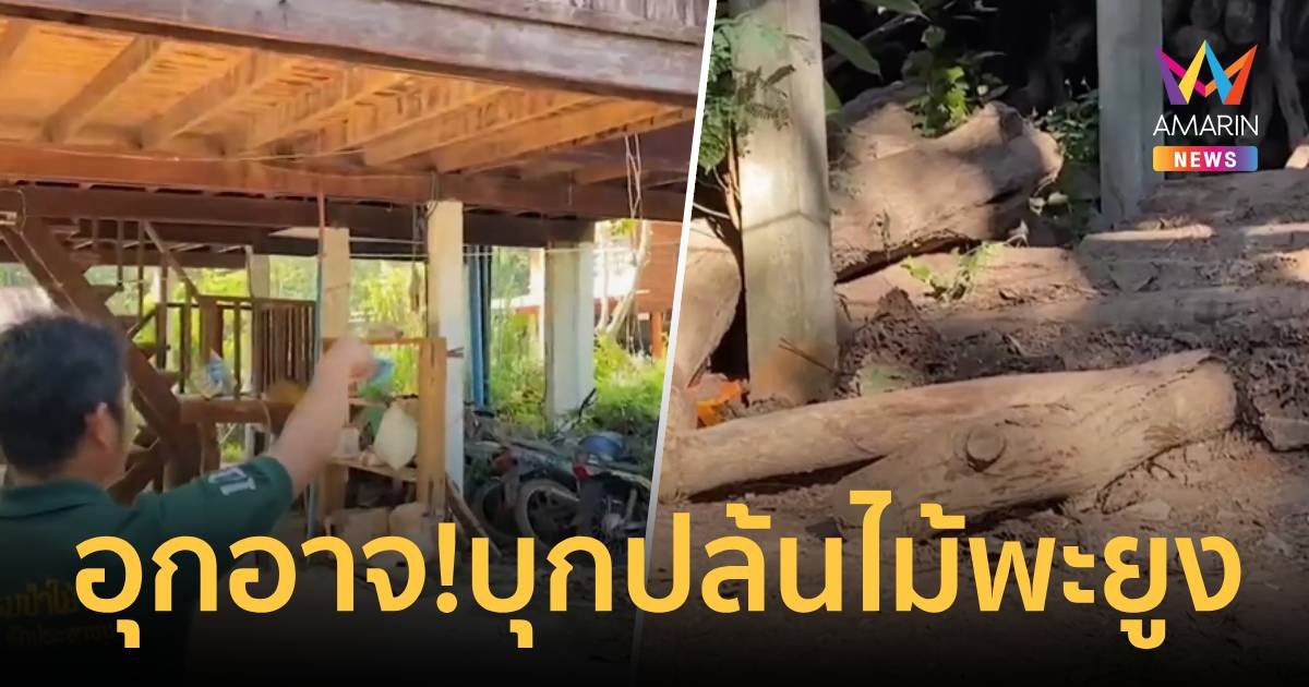 เหิมเกริม! 5 คนร้าย บุกจัดมัดจนท.ป่าไม้ ปล้นไม้พะยูงและปืนหลบหนี