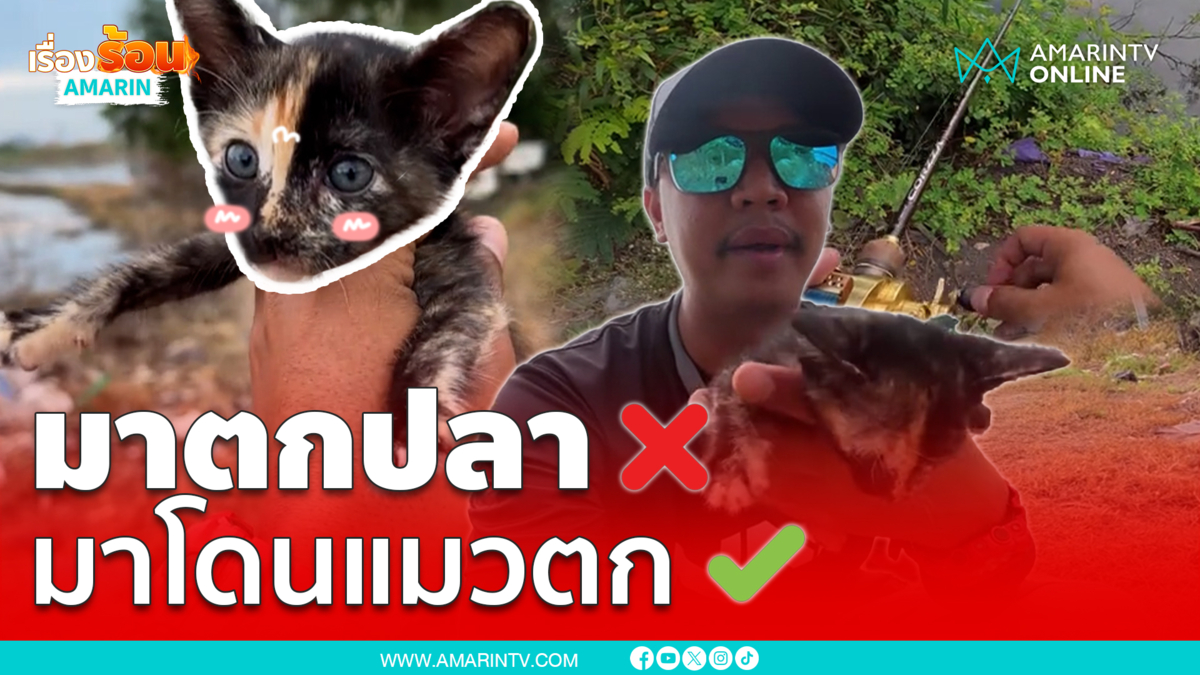 ดูแล้วใจฟู! หนุ่มไปตกปลา แต่โดนลูกแมวจรตกซะงั้น 