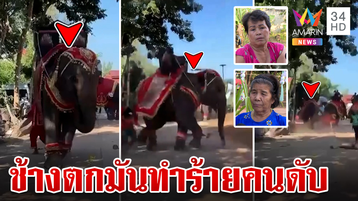 ระทึก! ช้างตกมันกลางขบวนแห่กฐิน ทำร้ายคนดับ