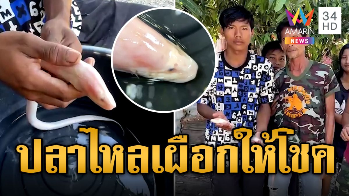 หนุ่มปักเบ็ดในห้วย เจอปลาไหลเผือก เชื่อมาให้โชค