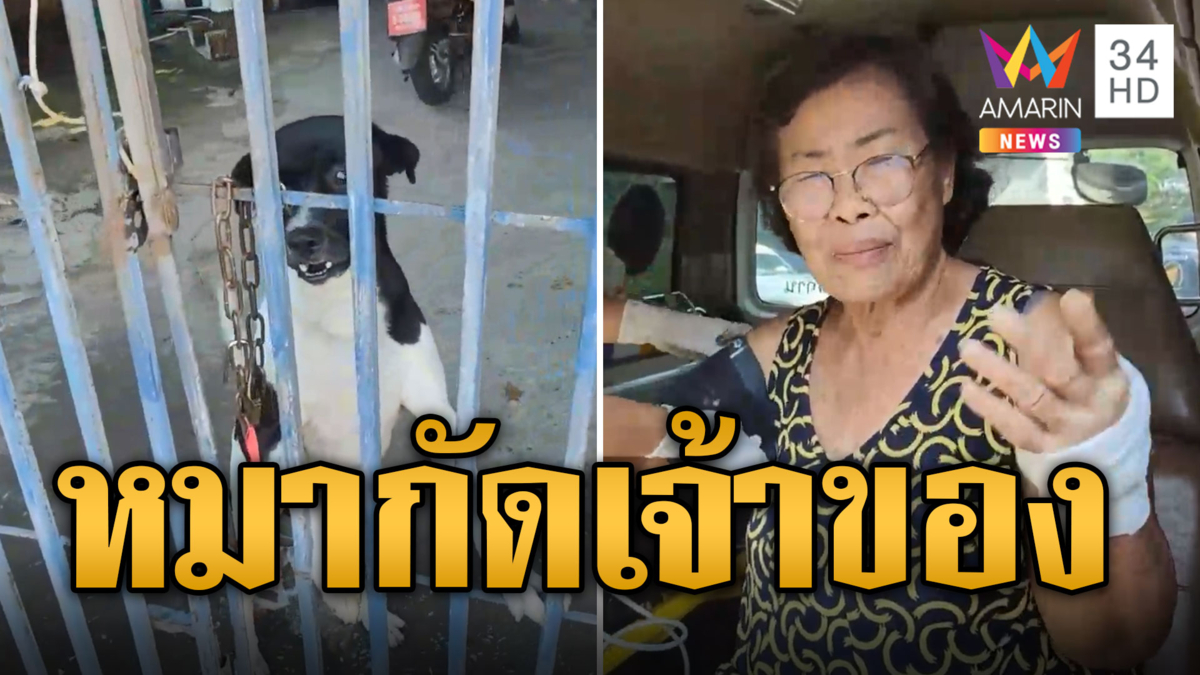 เลี้ยงไม่เชื่อง! หมาแว้งกัดเจ้าของ ป้าเจ็บออกจากบ้านไม่ได้