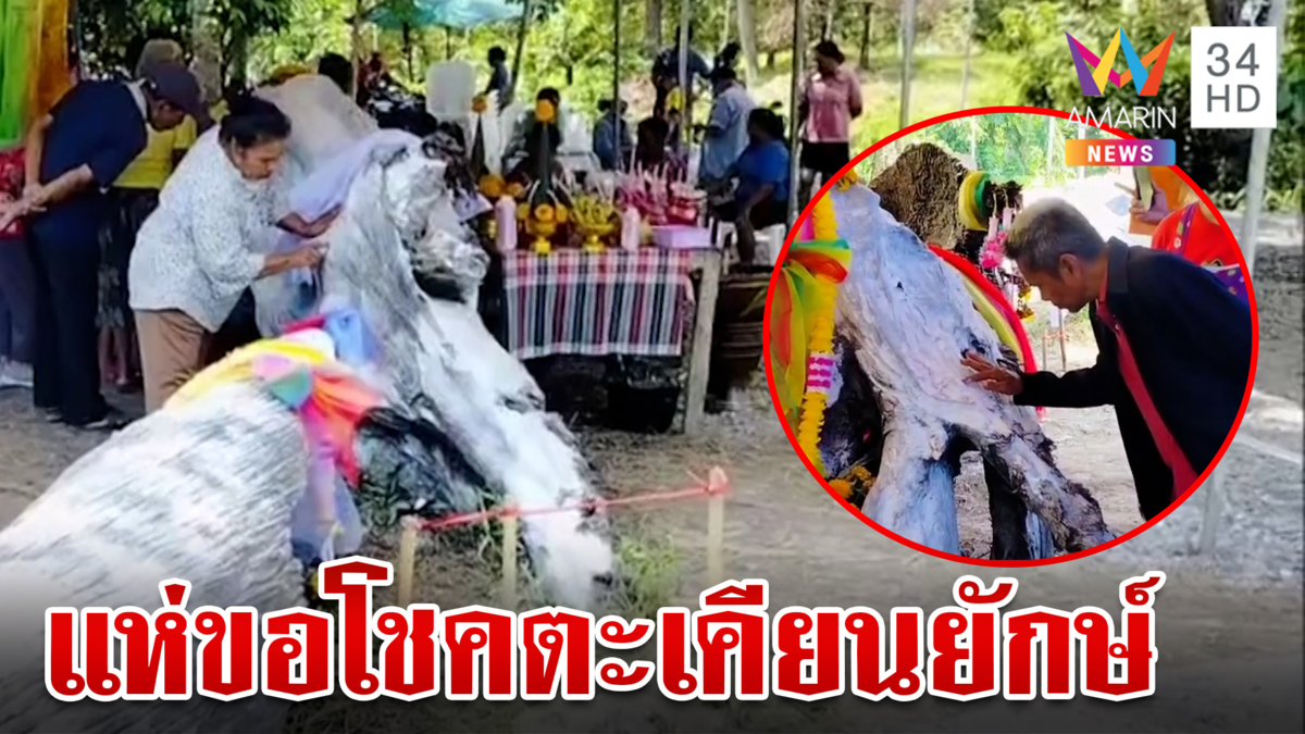 ชาวบ้านแห่ขอโชค!ขุดเจอตะเคียนยักษ์ หลังฝันถึงหญิงแต่งสไบ
