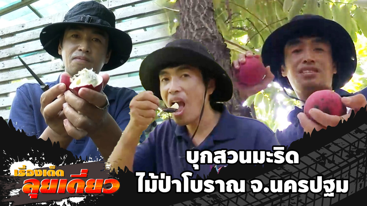 เรื่องเด็ดลุยเดี่ยว | บุกสวนมะริด ไม้ป่าโบราณ จ.นครปฐม