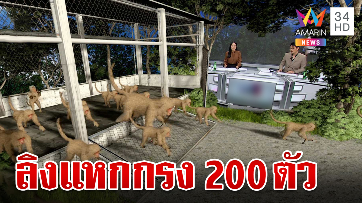 ฝูงลิงนับ 200 ตัว แหกกรง-บุกป่วนชาวบ้านลพบุรี 