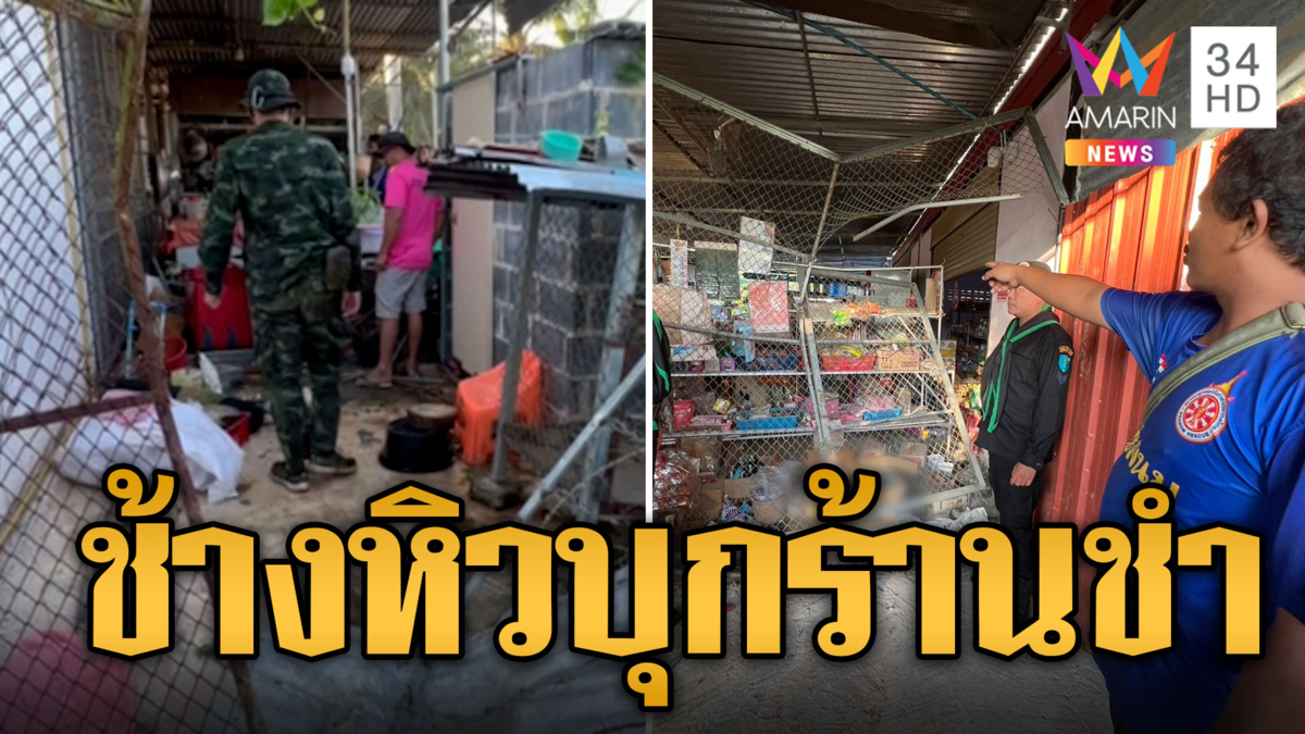 ชาวบ้านผวา! ช้างป่าหิวโซบุกหาอาหาร ร้านชำพังยับ