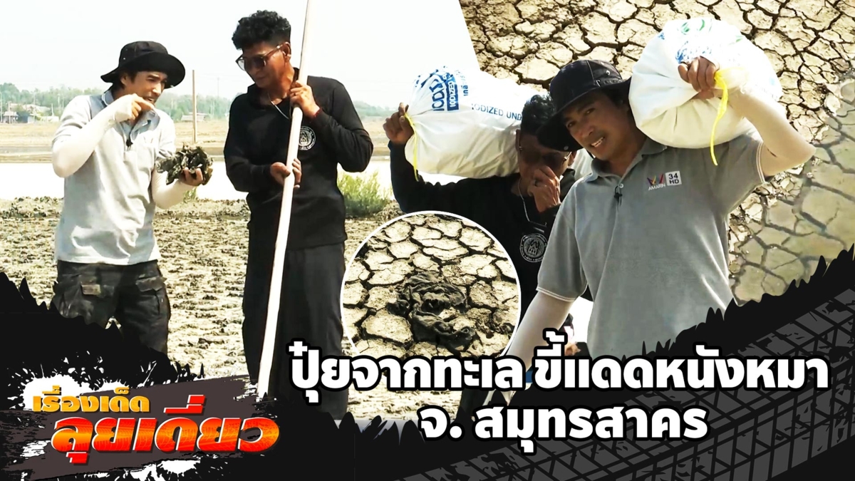 เรื่องเด็ดลุยเดี่ยว | ปุ๋ยจากทะเล ขี้แดดหนังหมา จ.สมุทรสาคร