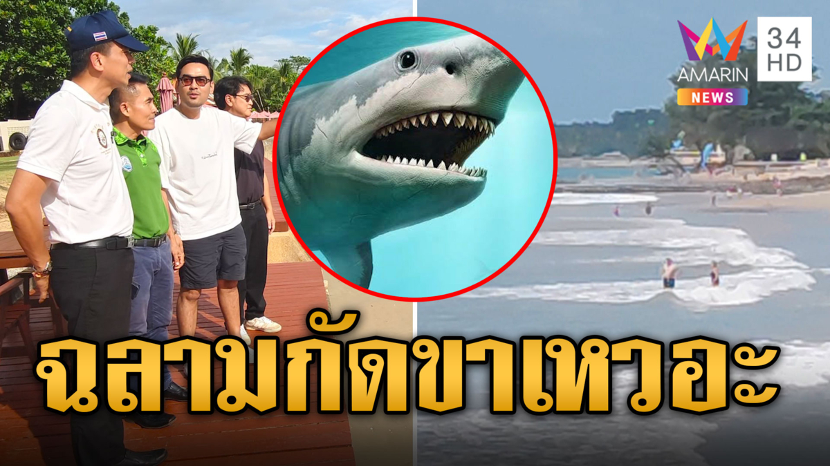 ผวา! ปลาปริศนากัดขา นทท.ขณะเล่นน้ำทะเล คาดเป็นฉลาม