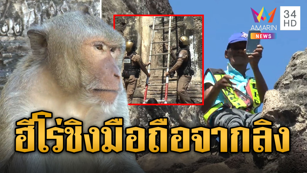 "ลุงยุทธ" ฮีโร่ใจเด็ด! ปีนพระปรางค์สามยอดชิงมือถือจากลิงคืน นทท.