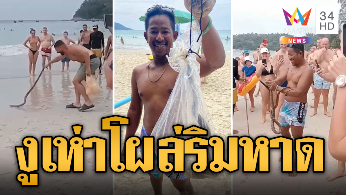 ไลฟ์การ์ดฮีโร่ จับงูเห่าริมหาด ก่อนฉกนทท.