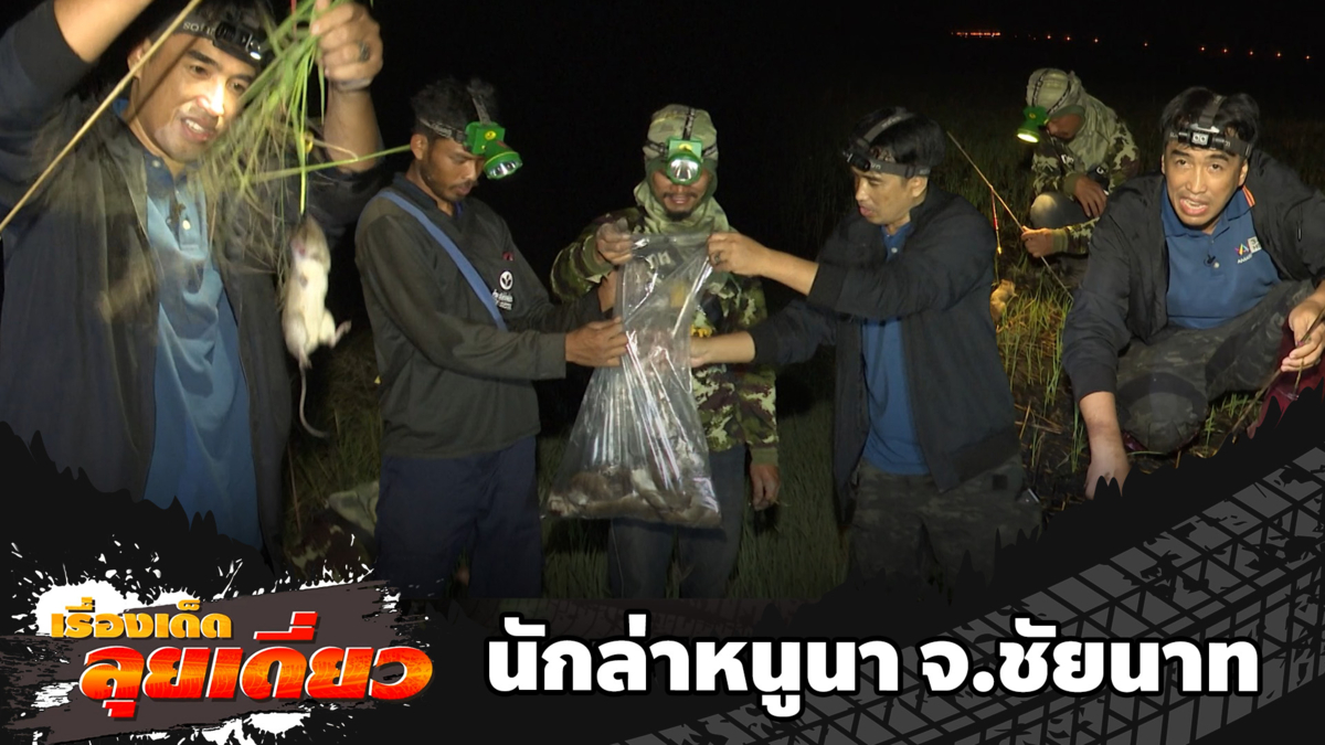 เรื่องเด็ดลุยเดี่ยว | นักล่าหนูนา จ.ชัยนาท | ข่าวเที่ยงอมรินทร์