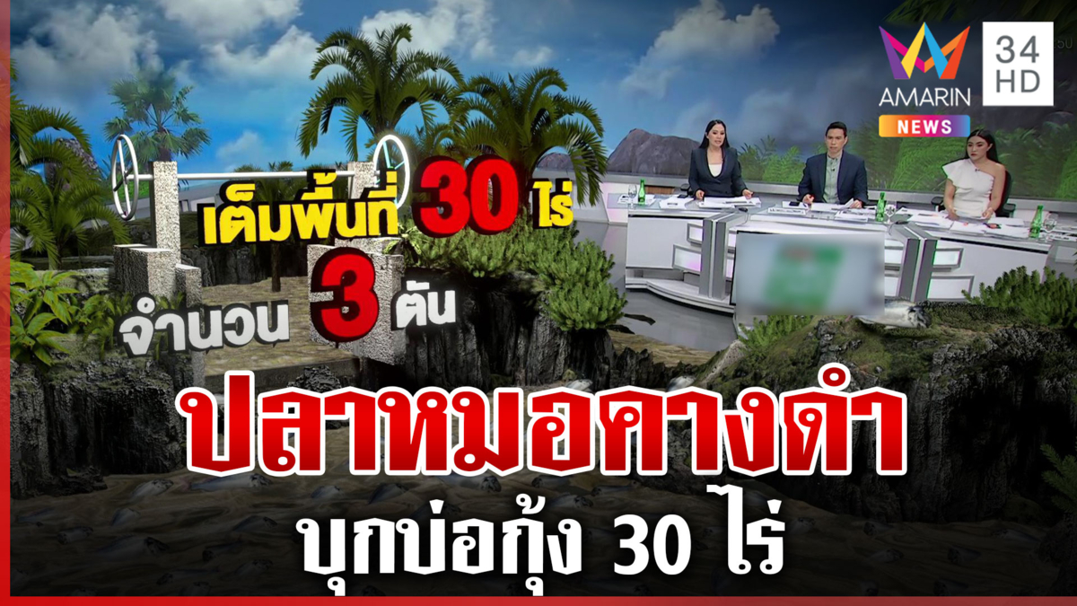 ผงะ "ปลาหมอคางดำ" บุกบ่อกุ้ง 30 ไร่ เจ้าของน้ำตาตกแทบหมดตัว