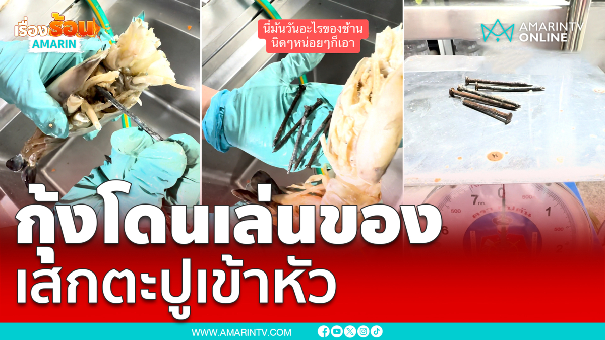 แม่ค้ากุมขมับ! กุ้งแม่น้ำโดนเล่นของ เสกตะปูเข้าหัว 5 ดอกเน้นๆ