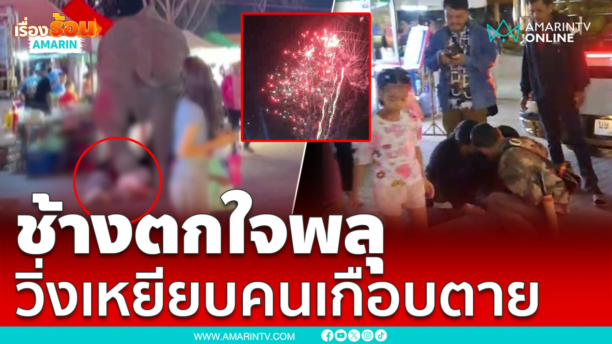 ช้างตกใจเสียงพลุวิ่งเตลิดเหยียบคนเจ็บอื้อ