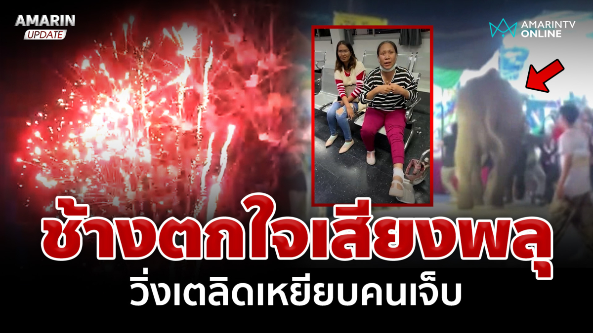 แตกตื่นทั้งงาน! ช้างขอทานตกใจเสียงพลุ วิ่งเตลิดเหยียบคนเจ็บ