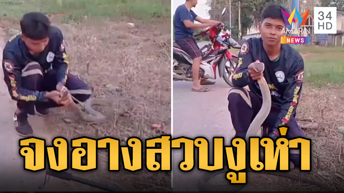 แตกตื่น! กู้ภัยรุดจับจงอางสวบงูเห่า
