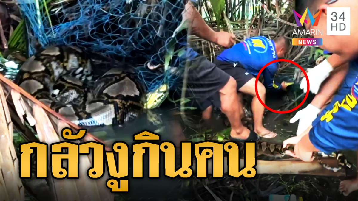 กู้ภัยรวมพลดึง เหลือมยักษ์ 6 ม.ติดข่ายดักปลา
