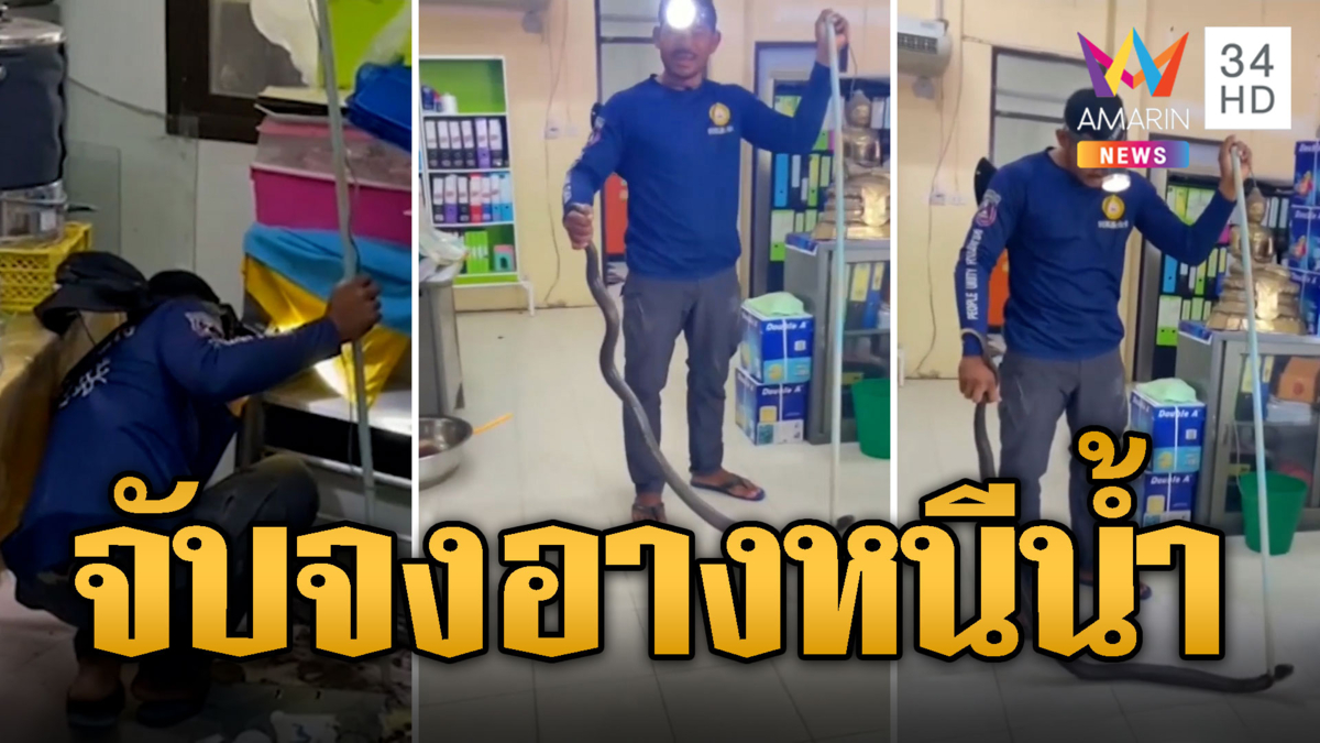 กรี๊ดลั่น! จงอาง หนีน้ำเข้าศูนย์เด็กเล็ก