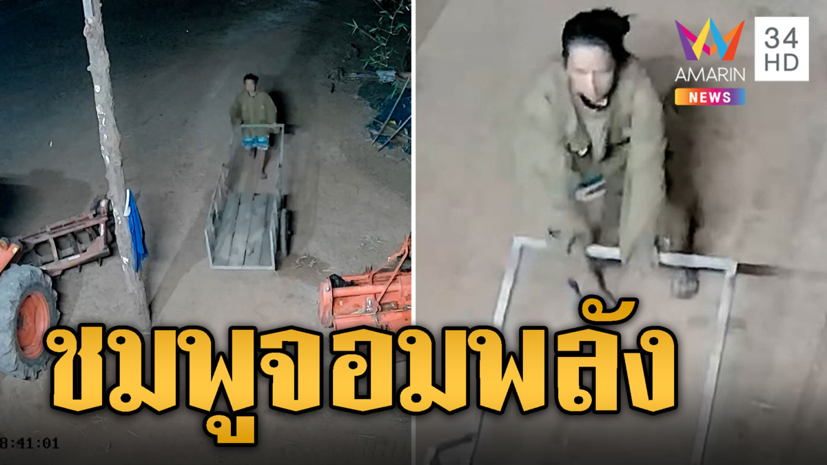 สาวชมพู บุกเดี่ยวลักข้าว 200 โล 