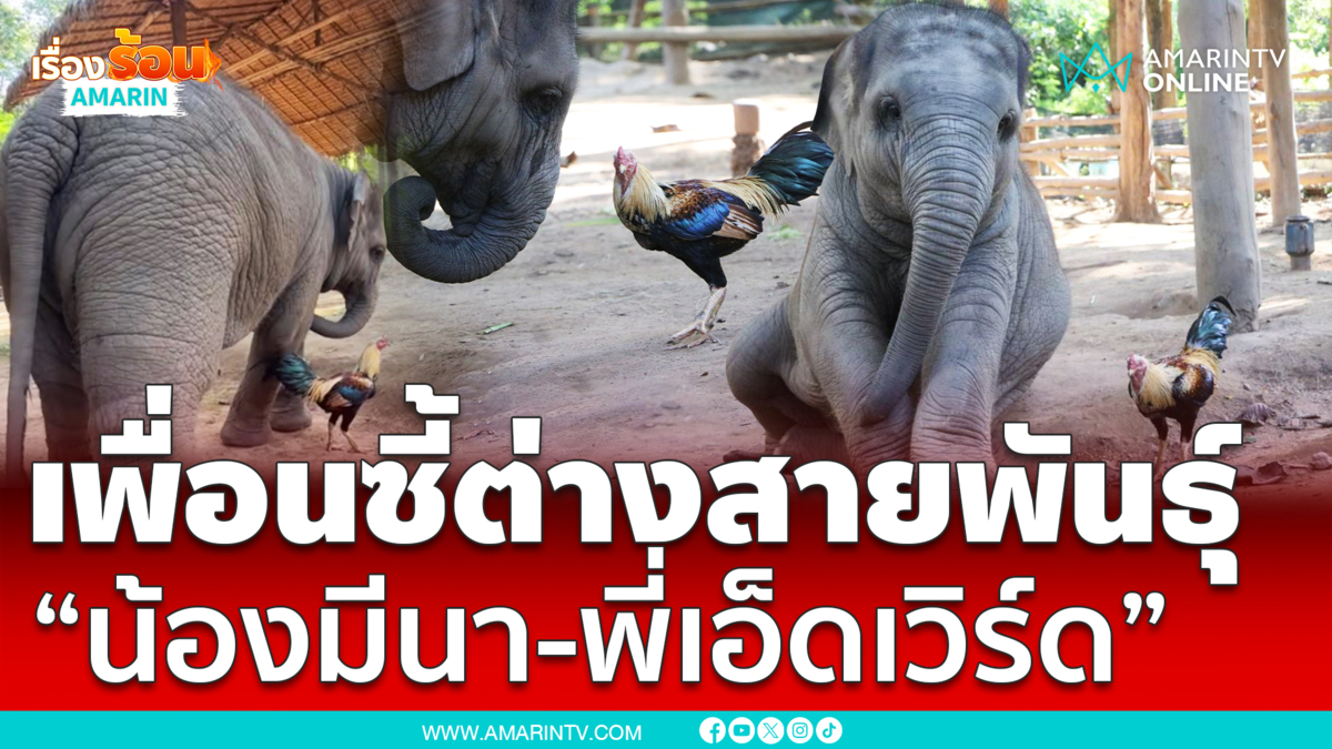 เปิดตัวดาวดวงใหม่ “น้องมีนา” กับเพื่อนซี้ต่างสายพันธุ์ “พี่เอ็ดเวิร์ด”