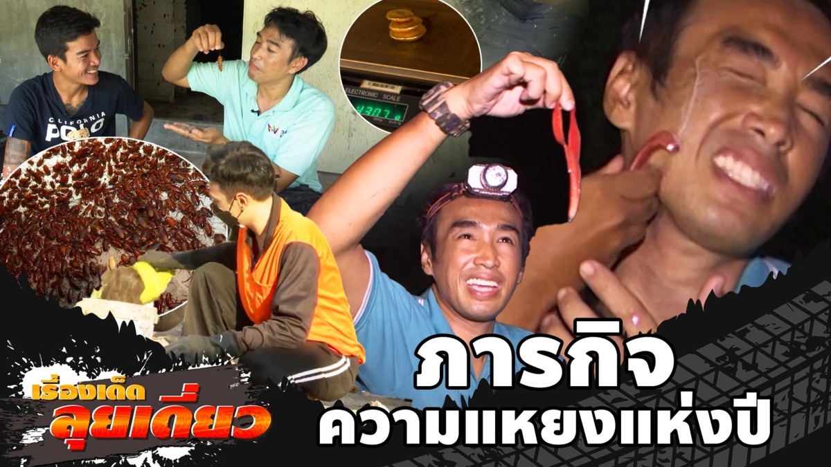 เรื่องเด็ดลุยเดี่ยว | ภารกิจความแหยงแห่งปี