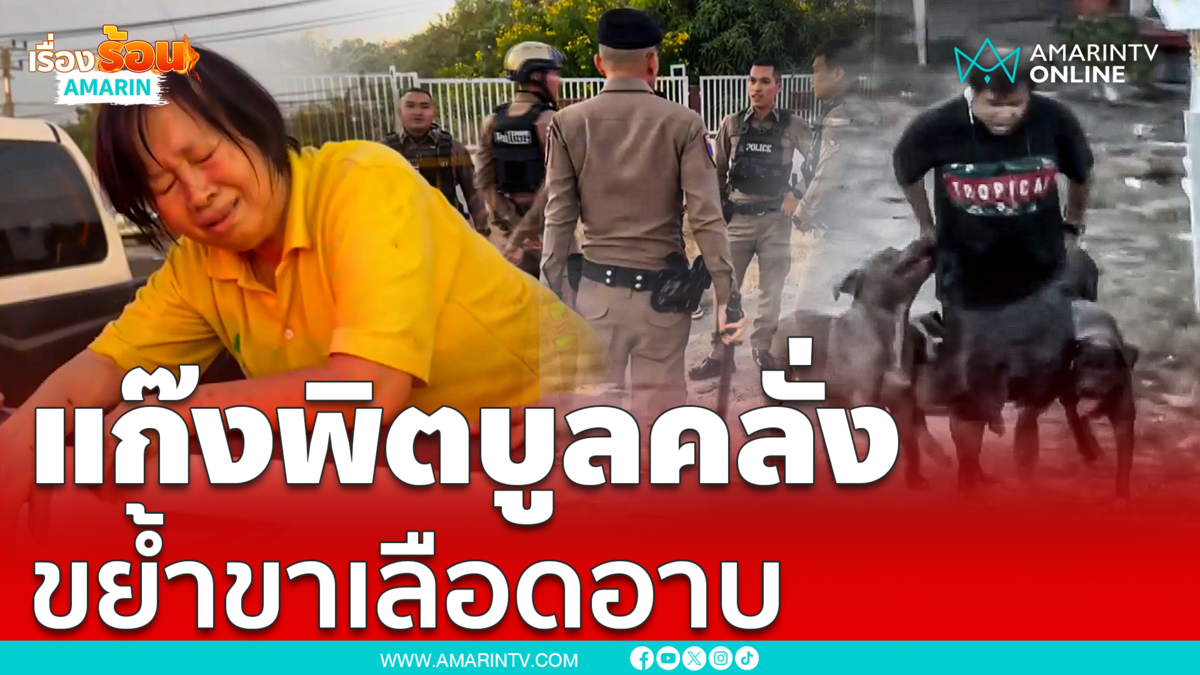 พิตบูล รุมขย้ำเลือดอาบขา ตำรวจ-กู้ภัยเข้าช่วยเหลือ วิ่งหนีกระเจิง