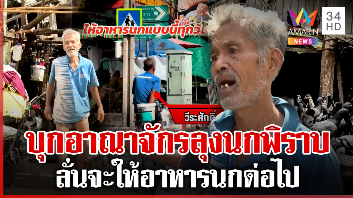 "ลุงนกพิราบ" คัมแบ็ก ไล่เทข้าวให้นก เพื่อนบ้านสุดทนมูลนกกระทบกิจการ