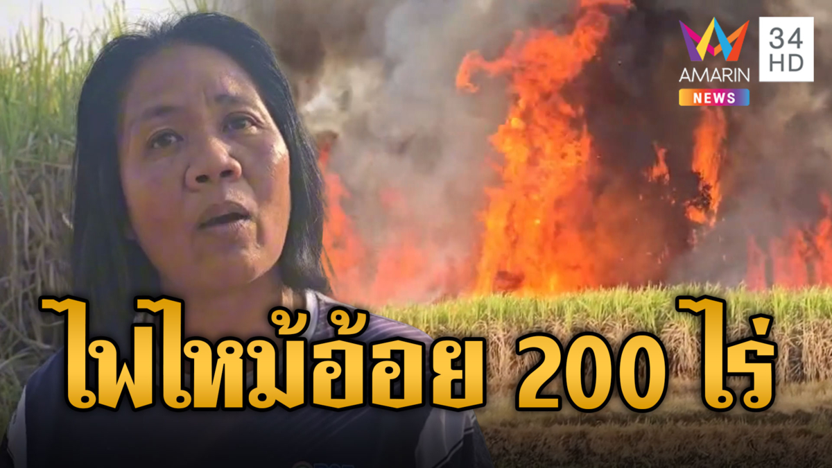 ไฟไหม้อ้อย 200 ไร่ เจ้าของยันไม่ได้เผา ขอร้องมือดีอย่าทำแบบนี้อีก