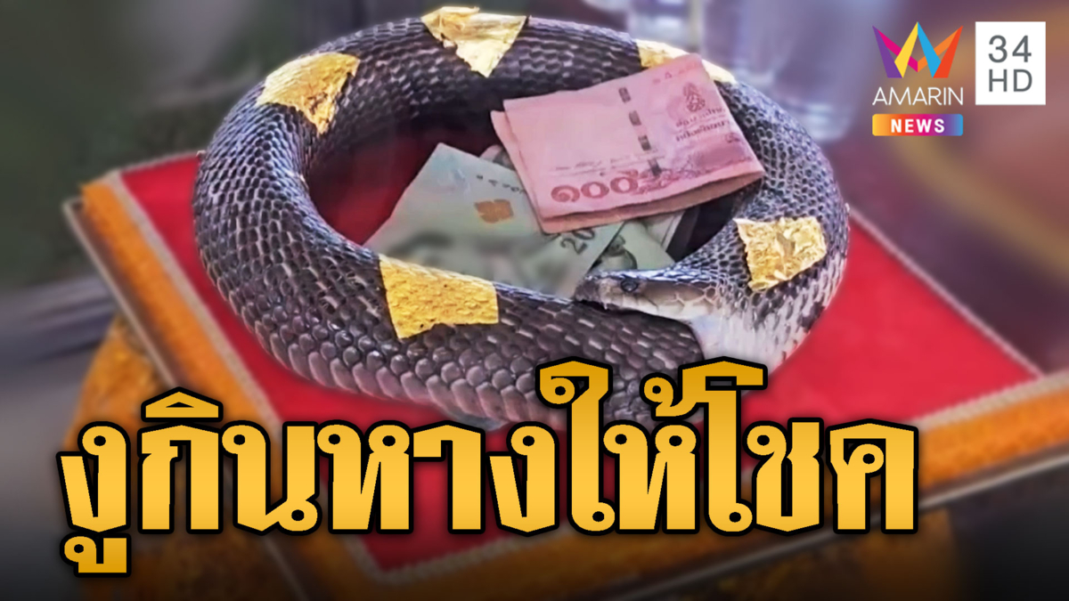 ฮือฮา! ชาวบ้านแห่ส่อง 'งูกินหาง' สภาพไม่เน่าเปื่อย เชื่อมาให้โชค