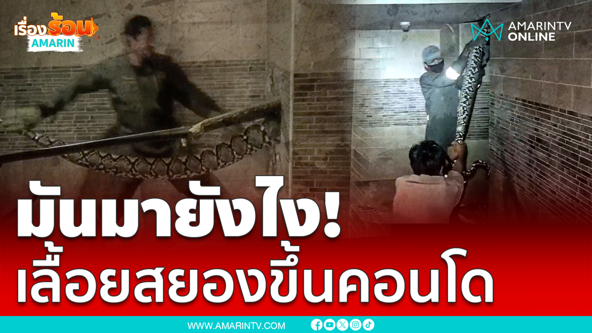 ทุบกำแพงคอนโดล่าเหลือมยักษ์