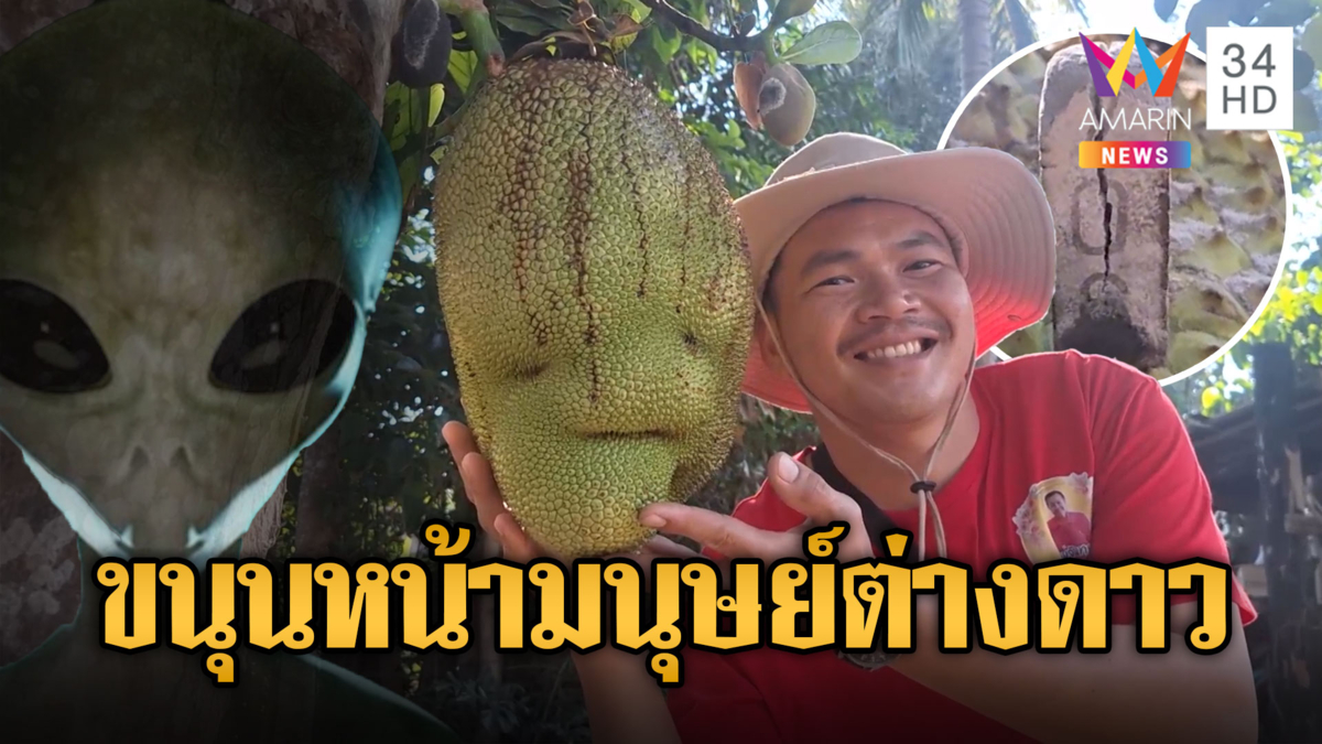 ฮือฮา! ขนุนแปลก หน้ามนุษย์ต่างดาว
