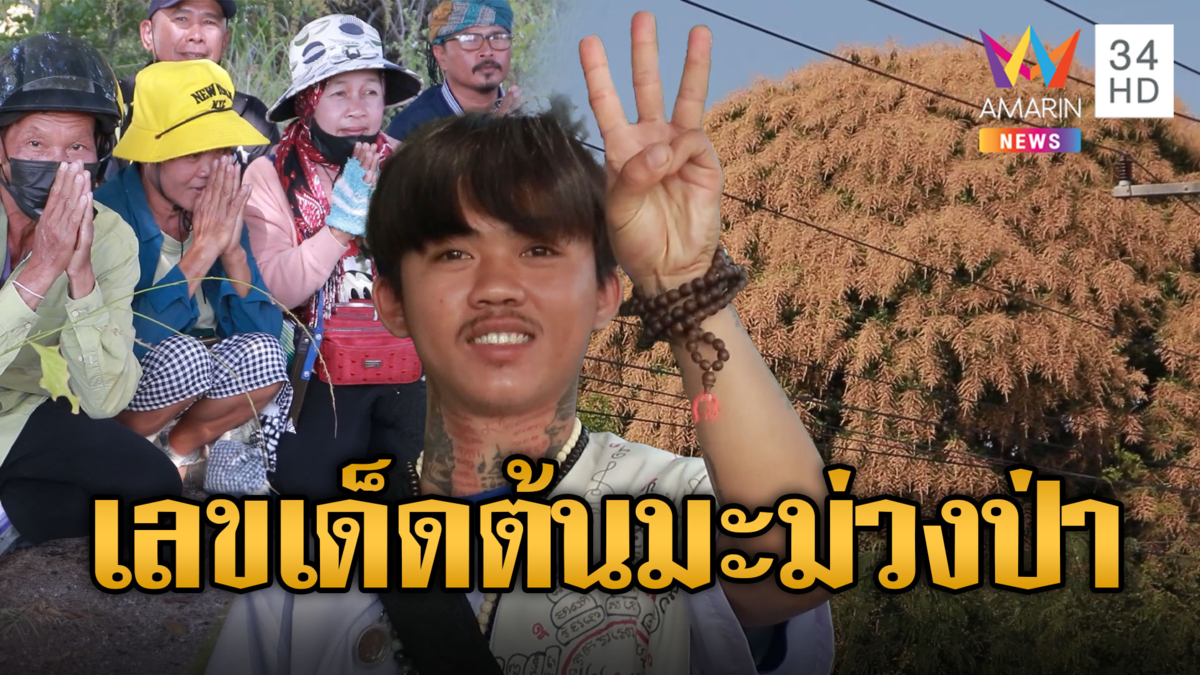 ต้นมะม่วงป่าเจ้าที่แรง! "ปู่ตาซัน" สิงร่างทรงให้เลขเด็ด
