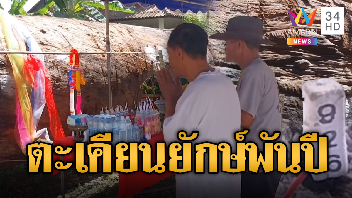 ฮือฮา ตะเคียนยักษ์พันปี ใบหน้าคนโผล่ให้โชคถูกรางวัล