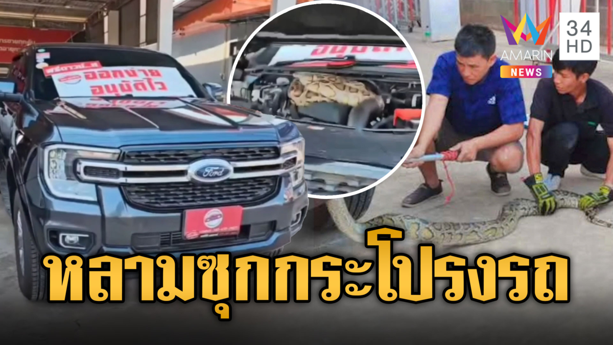 เซลส์สาวกรี๊ดลั่น! ไลฟ์สดขายรถ เจองูหลามซุกฝากระโปรง
