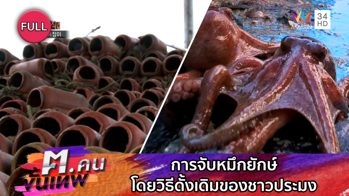 การจับหมึกยักษ์ โดยวิธีดั้งเดิมของชาวประมง | ฅ.คนขั้นเทพ