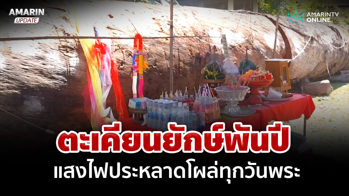 ตะเคียนยักษ์พันปีใหญ่ที่สุดในพะเยา มีแสงไฟประหลาดโผล่ทุกวันพระ