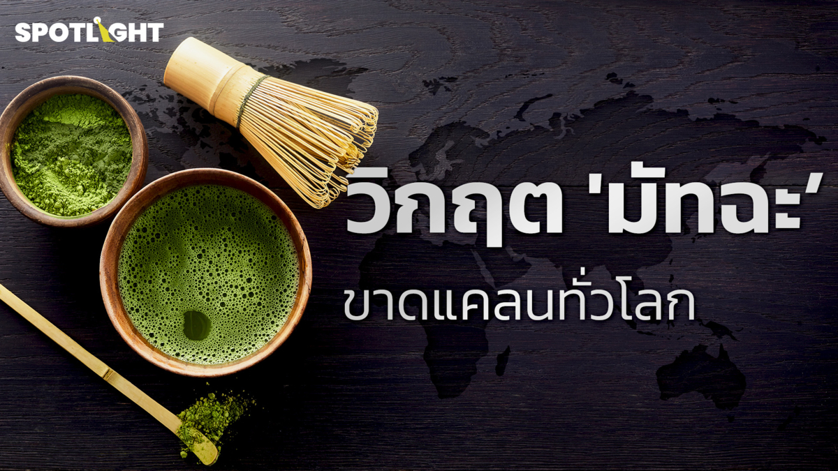 วิกฤต 'มัทฉะ' ขาดแคลนทั่วโลก สะเทือนใจ Matcha Lover