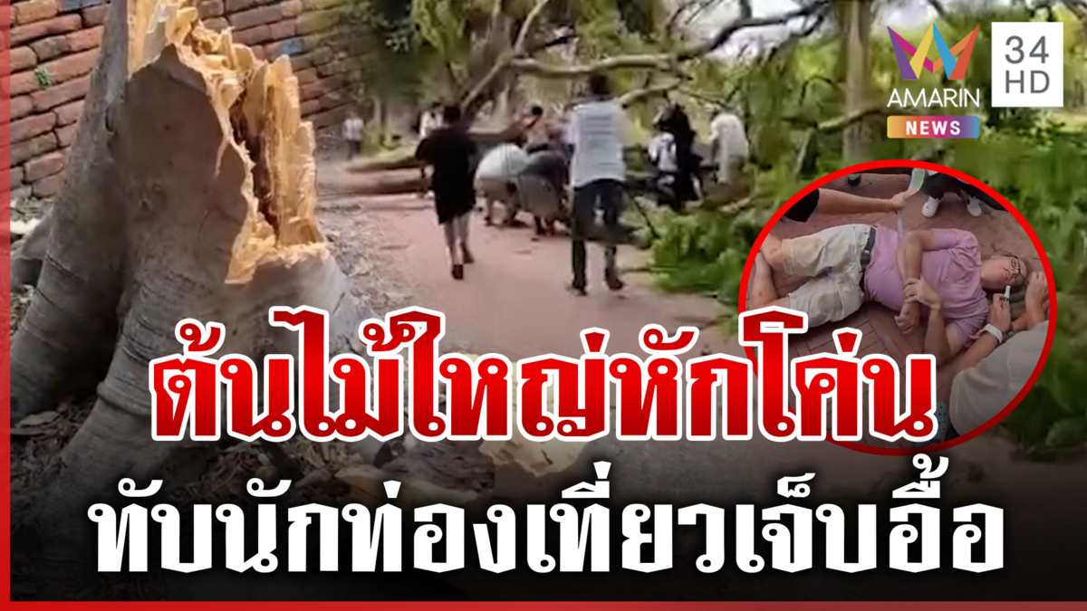 ช็อกกลางวัด! ต้นไม้โค่นทับนักท่องเที่ยวเจ็บอื้อ เร่งช่วยเหลือส่ง รพ.