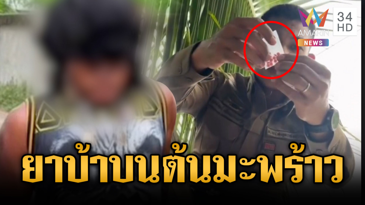 หนุ่มตกใจโยนยาบ้าของกลางขึ้นต้นมะพร้าว ตร.หาจนเจอ