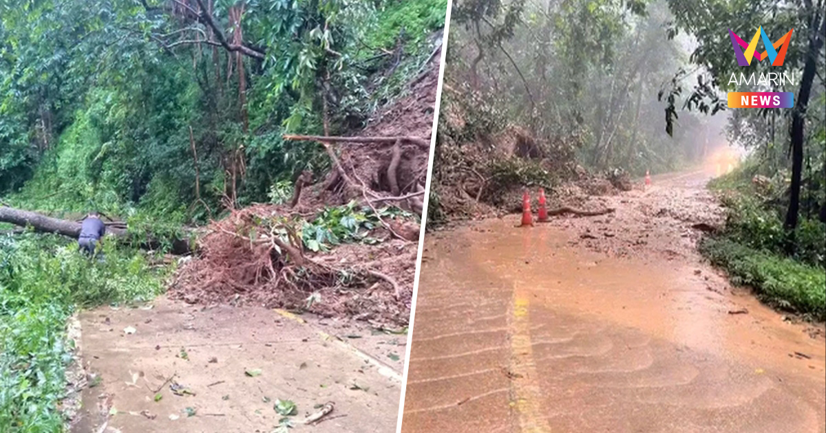 อช.ทองผาภูมิเตือน! ฝนตกดินสไลด์ ต้นไม้ล้มทับทาง เส้นบ้านไร่-บ้านอีต่อง