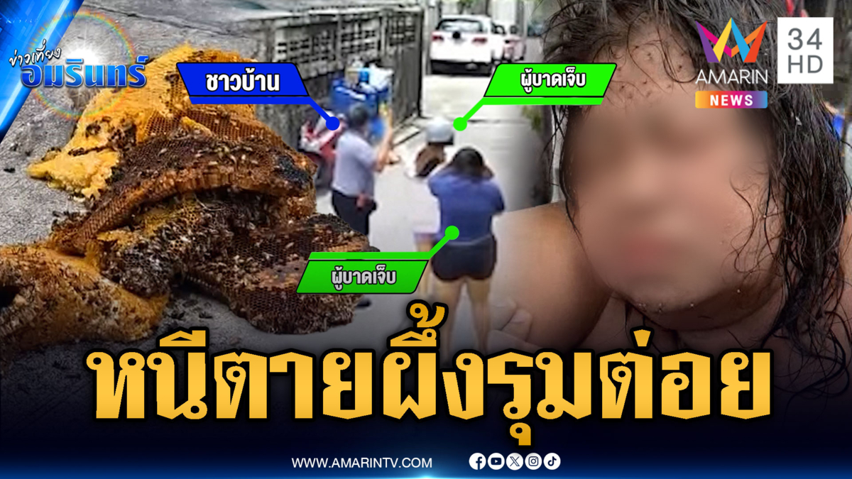 ชาวบ้านหนีตายผึ้งหลวงแตกรัง รุมต่อยบาดเจ็บ 4 ราย