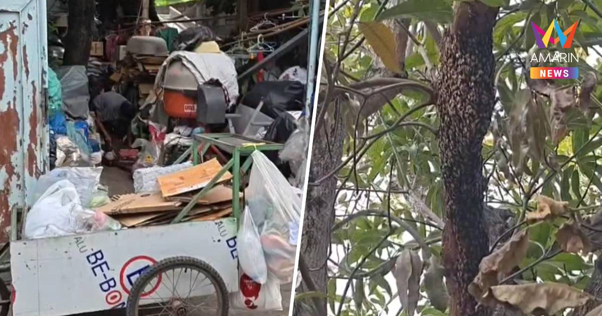 ผึ้งหลวงยังไม่ไป! สร้างรังใหม่ซ้ำบ้านชาวบ้าน หลังรุมต่อยสาหัส 4 ราย