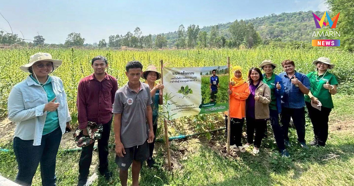 กรมวิชาการเกษตร หนุนเกษตรกร คทช.ปลูกงาอินทรีย์–GAP สร้างอาชีพหลังนา
