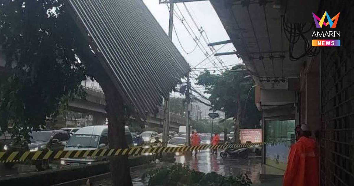ลมพัดแรง! ซัดป้ายโฆษณาล้มพาดสายไฟฟ้า หน้าโรงพยาบาลสัตว์อรุณ