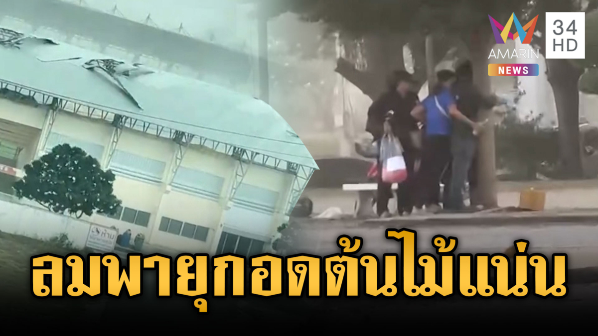 ฝนถล่มลมแรง! ชาวบ้านเกาะต้นไม้กลัวปลิว-พัทยาจมน้ำ