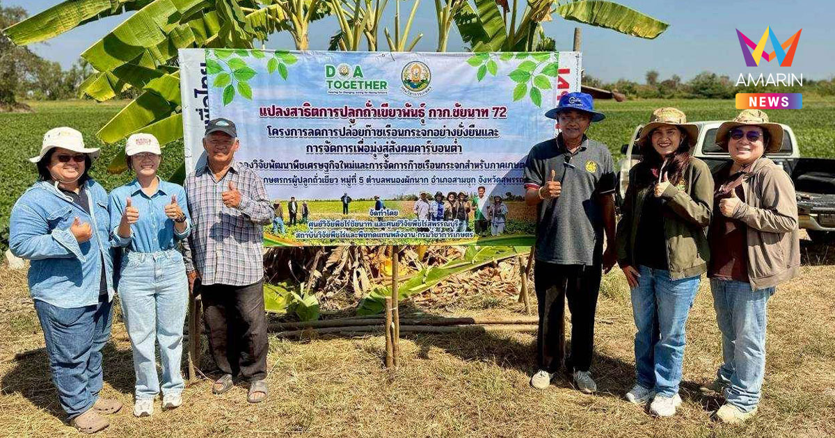 กรมวิชาการเกษตร ดันปลูกถั่วเขียวหลังนาแทนนาปรังในสุพรรณบุรี ลด PM2.5